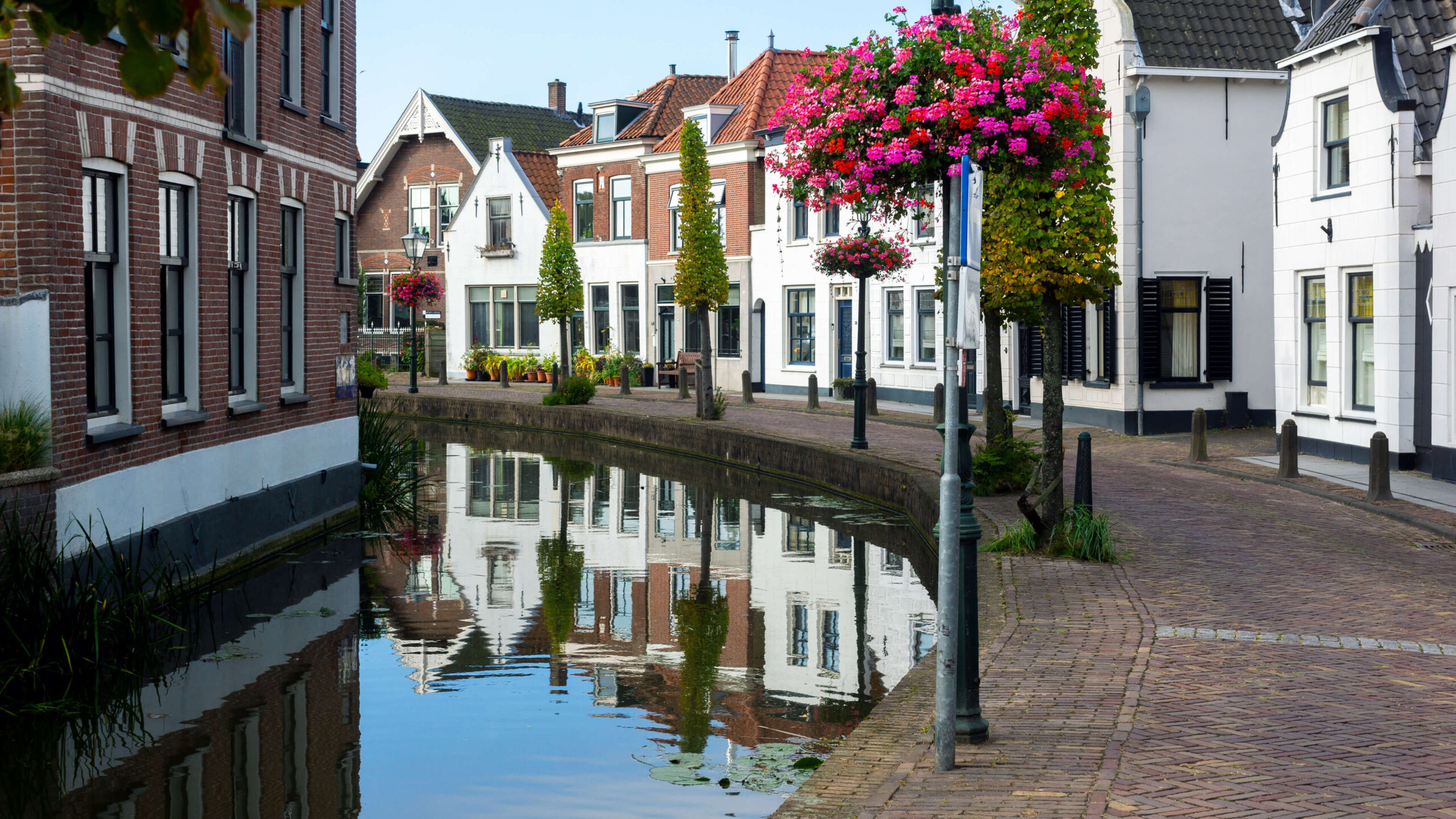 Having a website built for your company or organization in Midden-Delfland. Having a website built for your company or organization in Midden-Delfland.