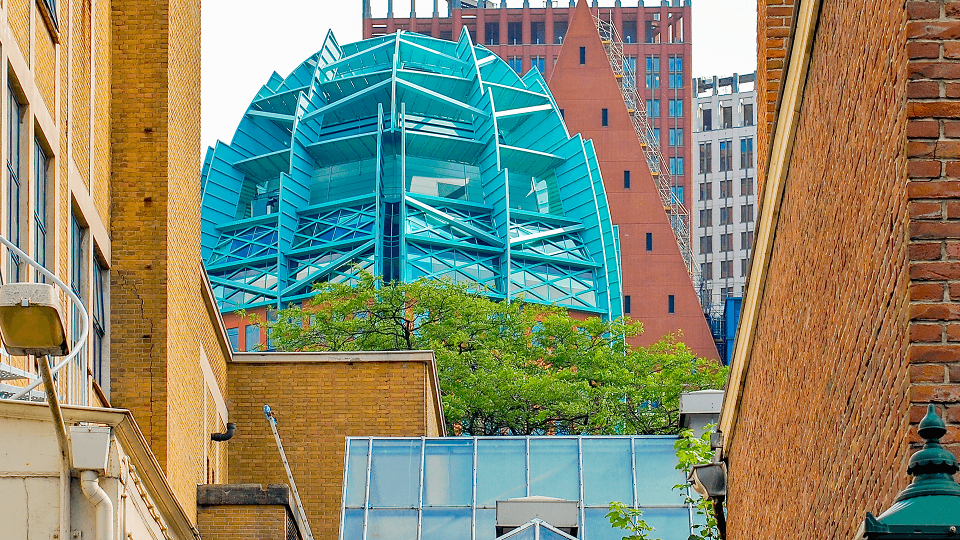 Website development the Hague. Website development the Hague.