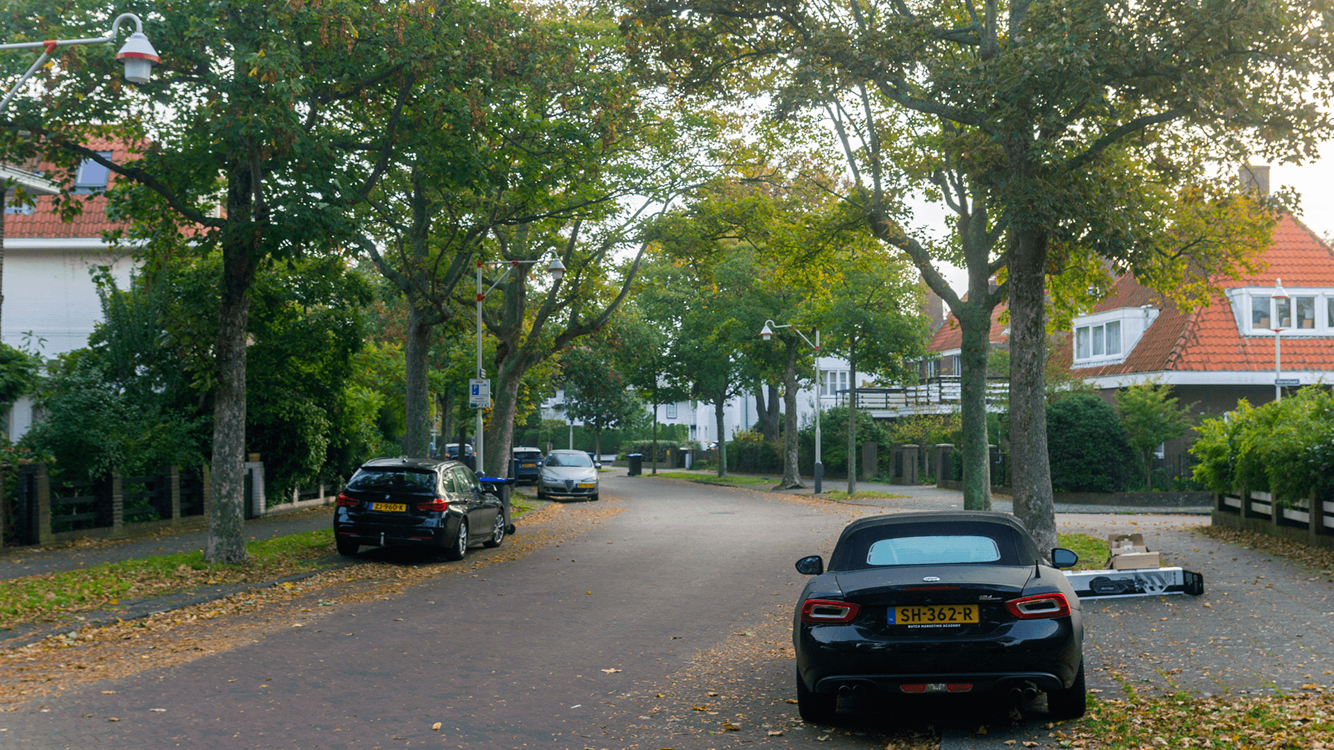 Having a website made in the Vogelwijk in The Hague.