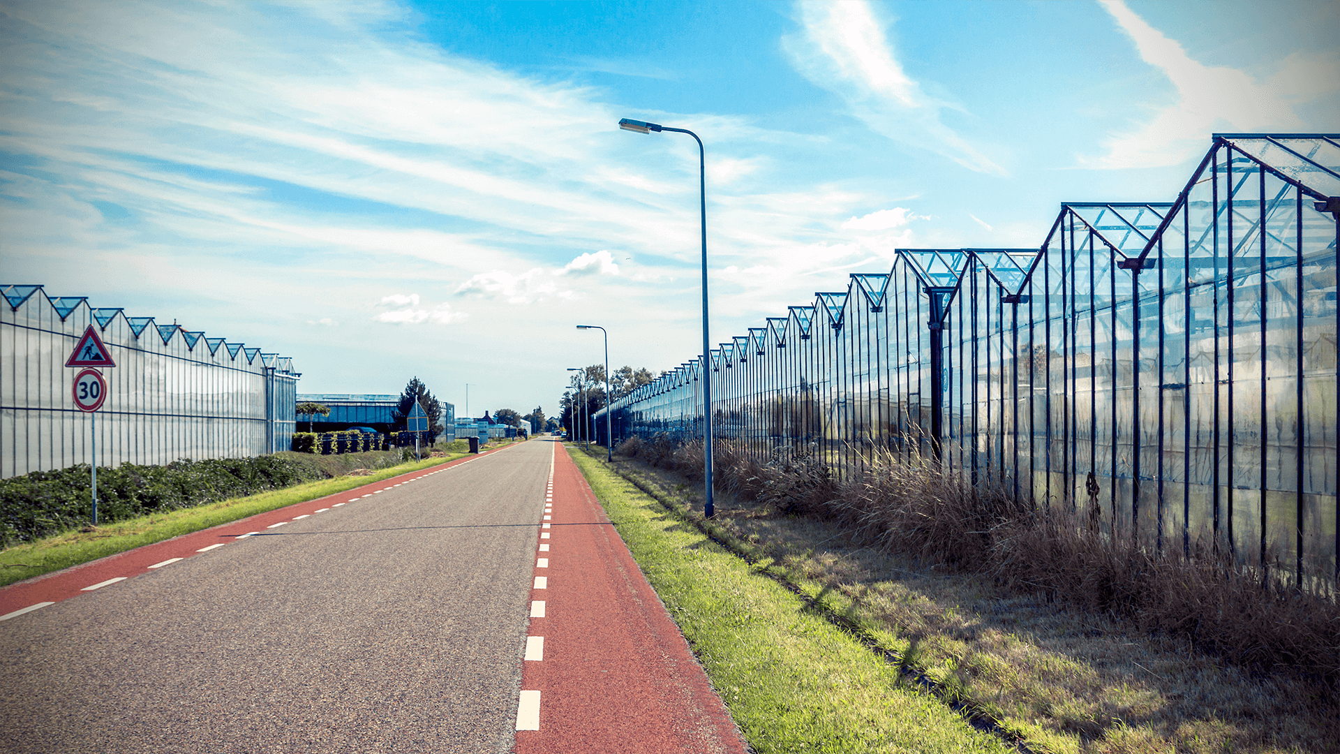 Having a website built for your company or organisation in Westland. Having a website built for your company or organisation in Westland.